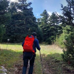 Μονοπάτι Μνάκι – Ανακάλυψε την αυθεντική φύση του Παρνασσού - Image 4